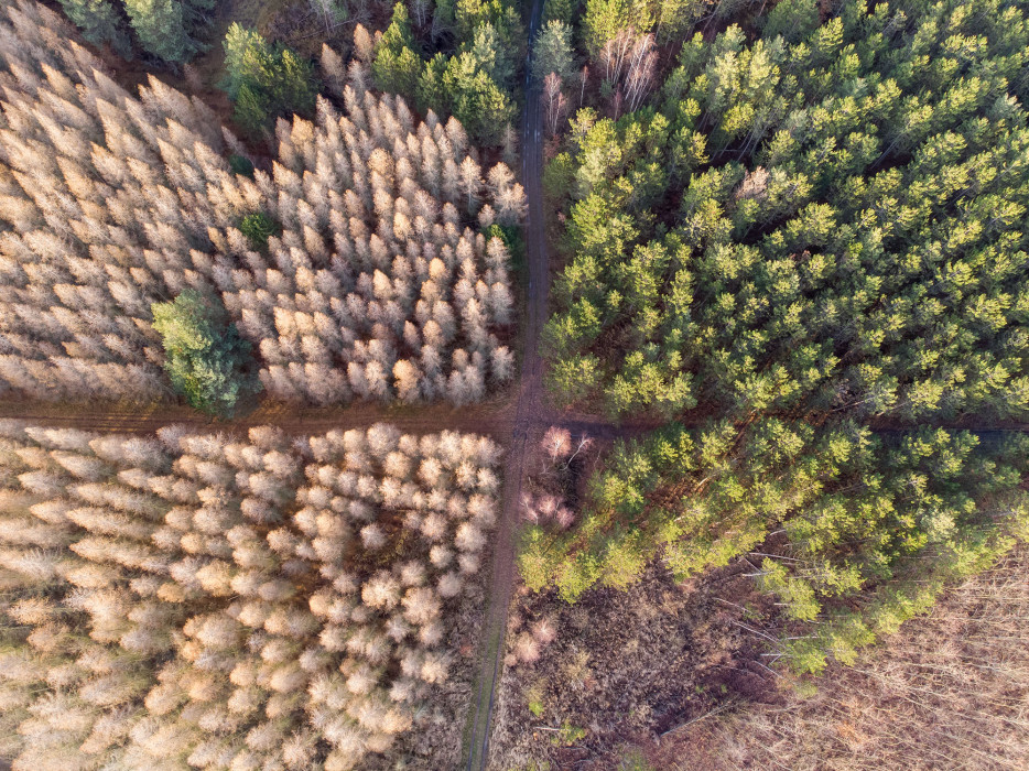 earth from above