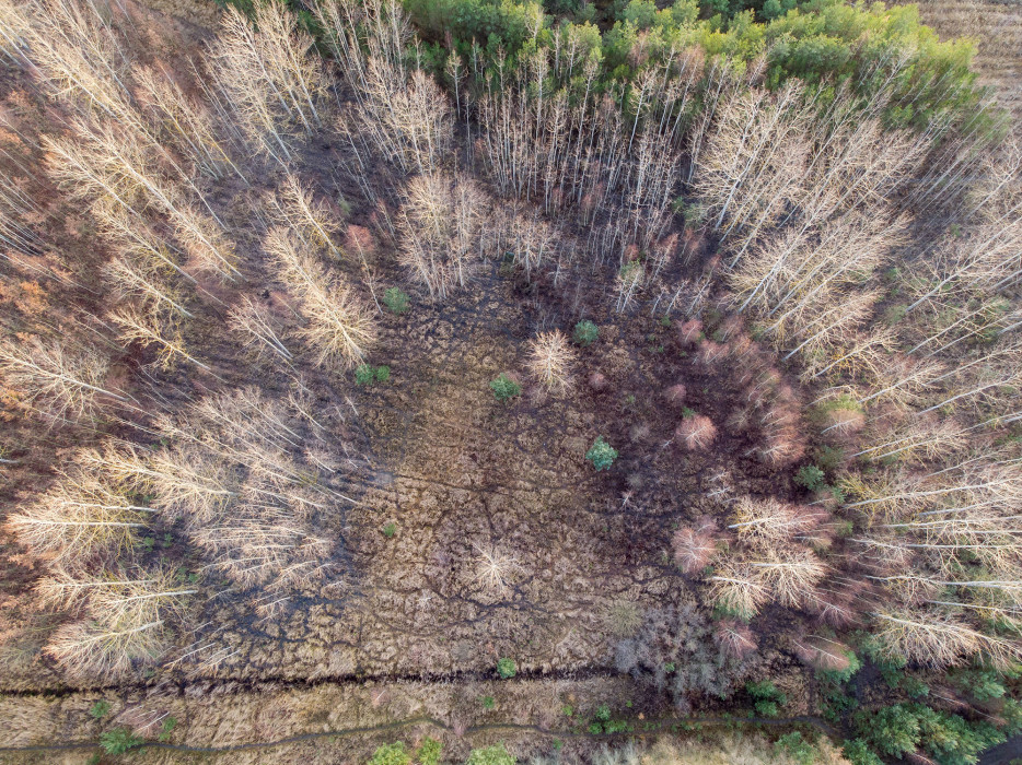 earth from above