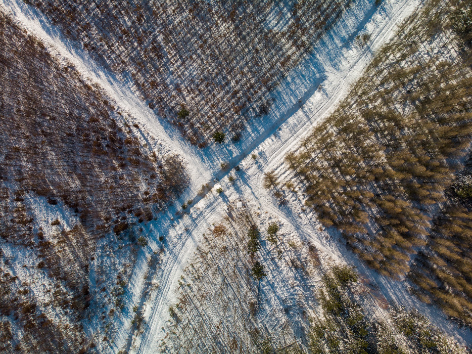 earth from above