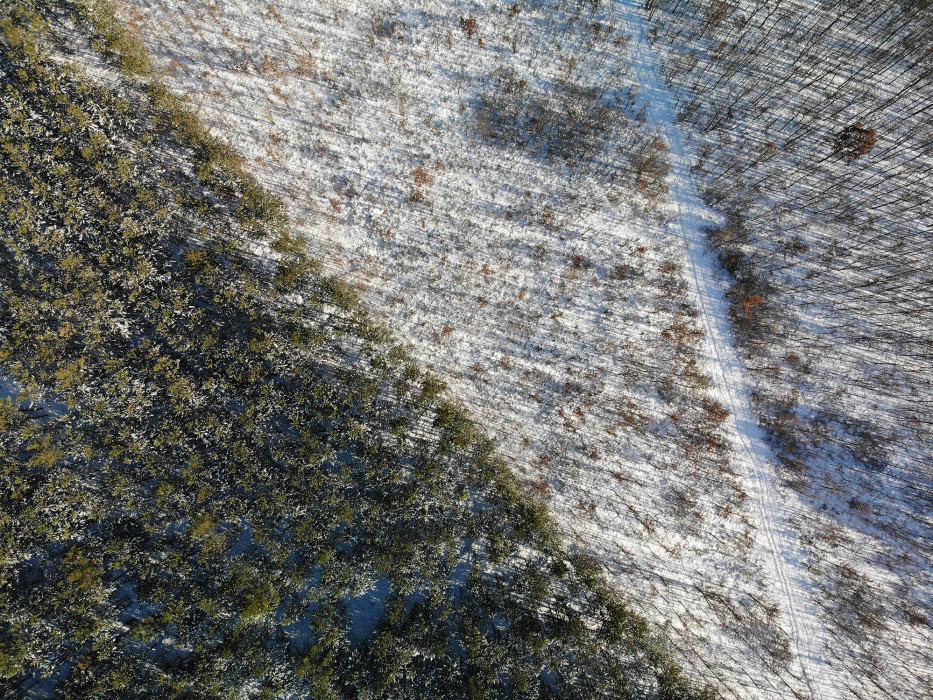 earth from above