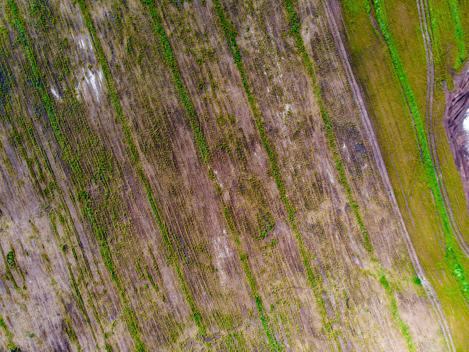 earth from above