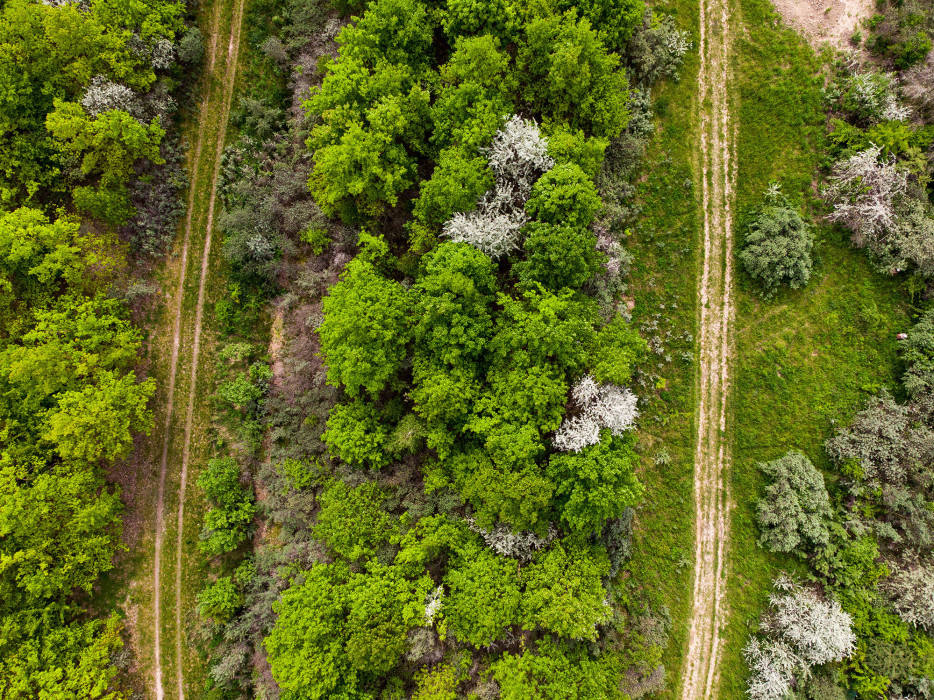 earth from above