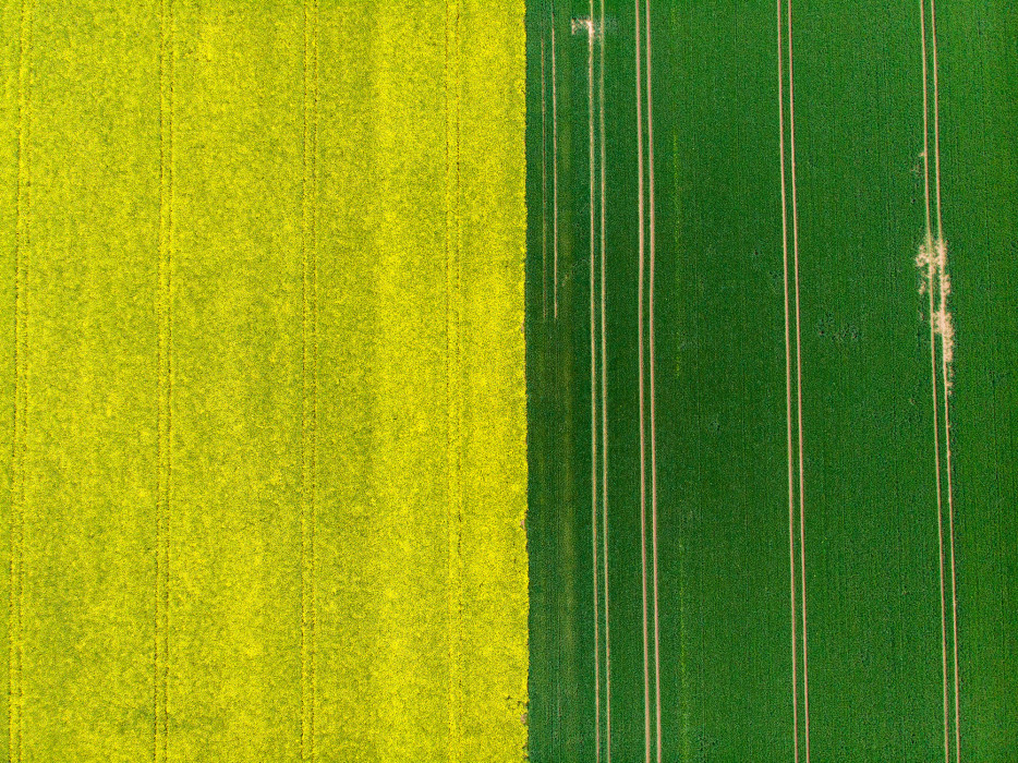 earth from above